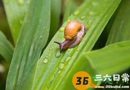 2021年夏季北方雨水多吗3