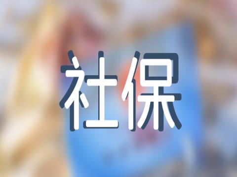 上海2023养老金上调方案细则 2023-2024上海养老金