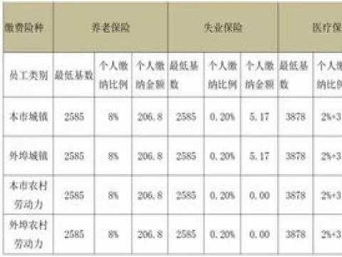 公积金缴费基数有几个档次呢