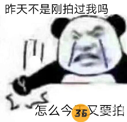 微信拍一拍表情包带字无水印1