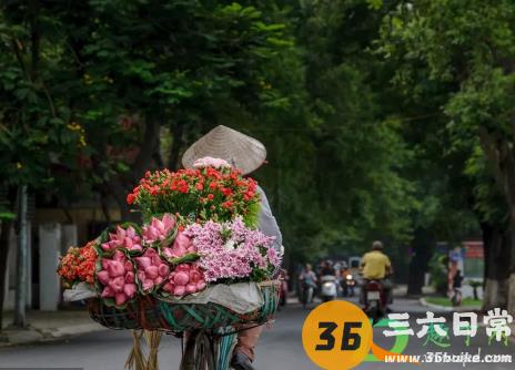 马路摆摊卖鲜花选择什么地段好1