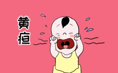 怀孕吃橘子芒果多宝宝会黄疸？专家：完全两码事！