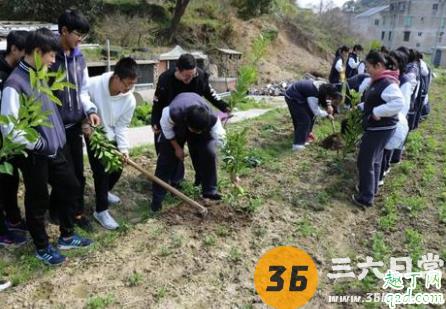 大中小学将设劳动必修课是真的吗 劳动必修课怎么上3