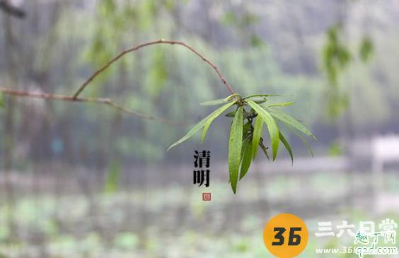 清明节上坟可以下午去吗 清明节下午可以扫墓吗3