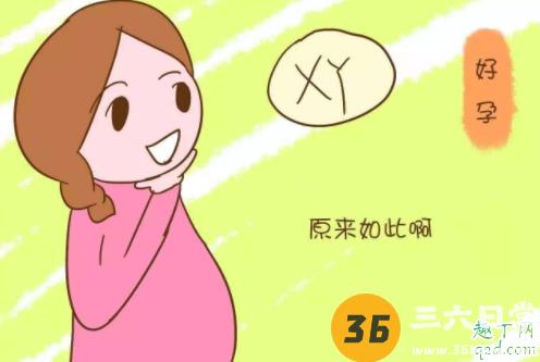 怀上的那一刻就注定男女了吗 胎儿性别如何决定3