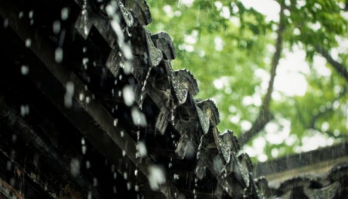 地形雨的形成