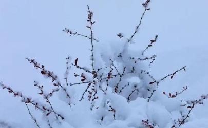 2023年12月老君山会下雪吗